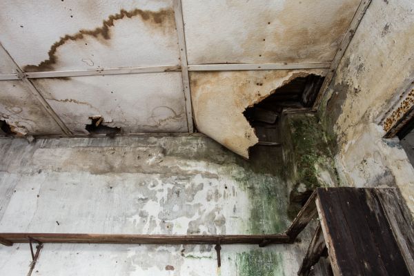 Cost of Water Damage Service in Indianapolis