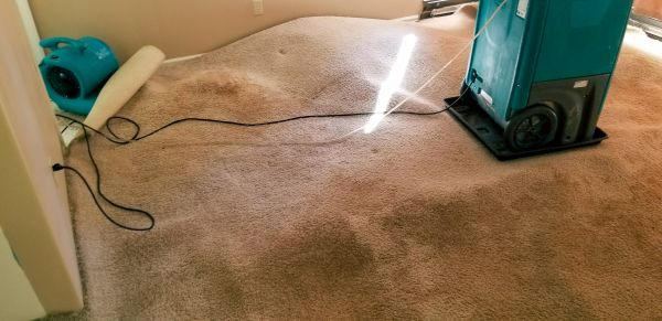 Cost of Flood Damage Cleanup in Indianapolis