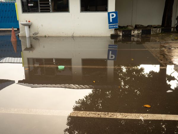 Cost of Storm Damage Repair in Indianapolis